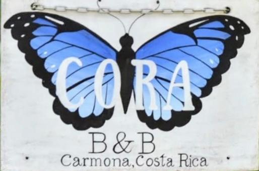 Casa Cora Bed And Breakfast Carmona Εξωτερικό φωτογραφία