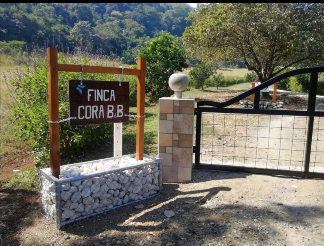 Casa Cora Bed And Breakfast Carmona Εξωτερικό φωτογραφία