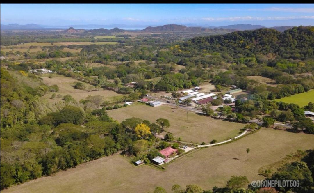 Casa Cora Bed And Breakfast Carmona Εξωτερικό φωτογραφία