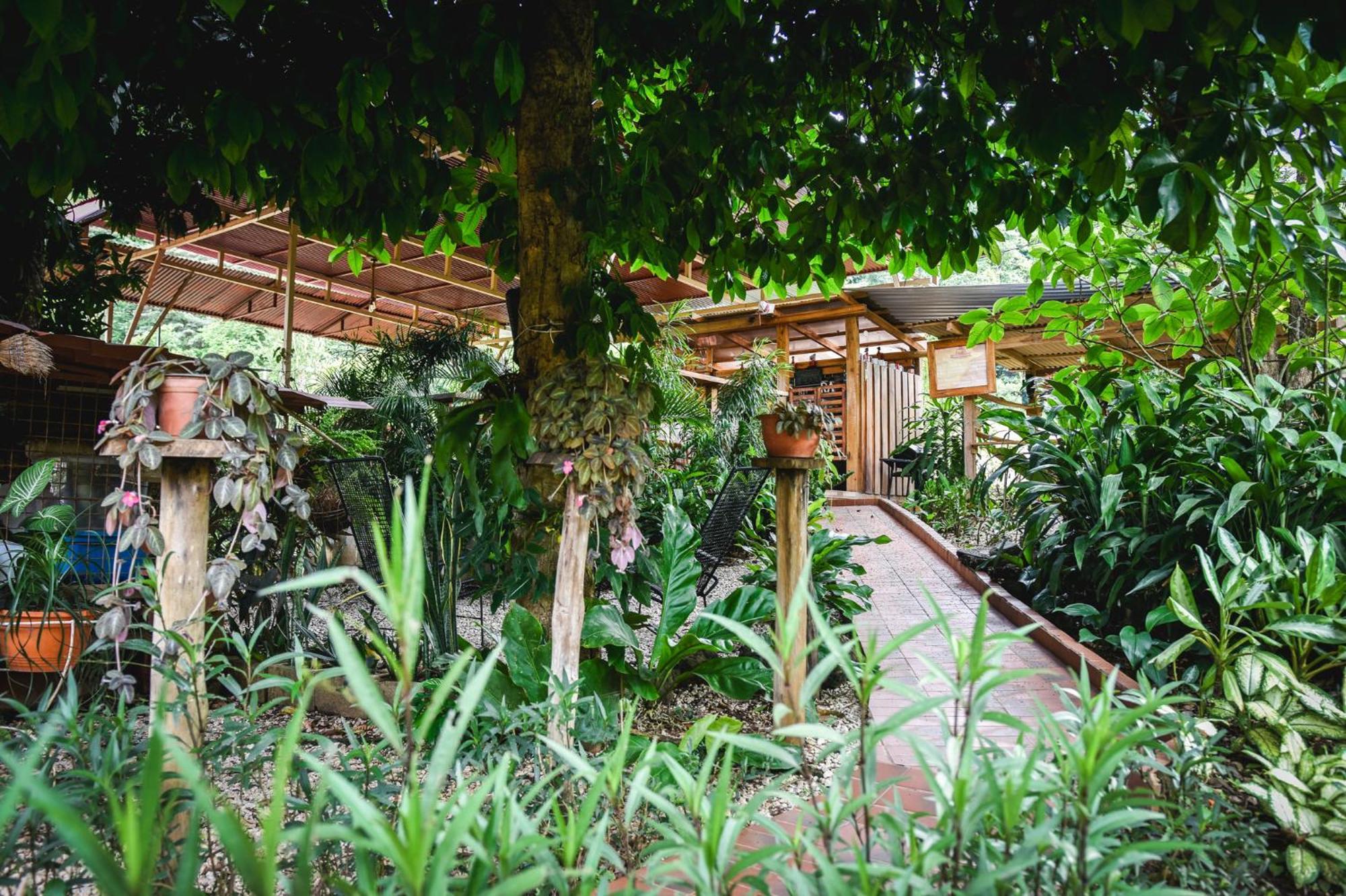 Casa Cora Bed And Breakfast Carmona Εξωτερικό φωτογραφία